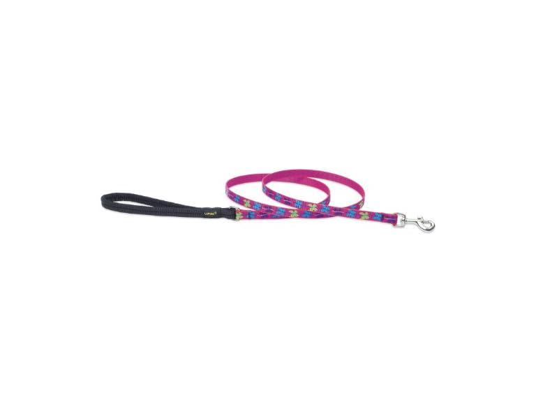 LupinePet Originals 1/2" Wing It 4-foot Padded Leash