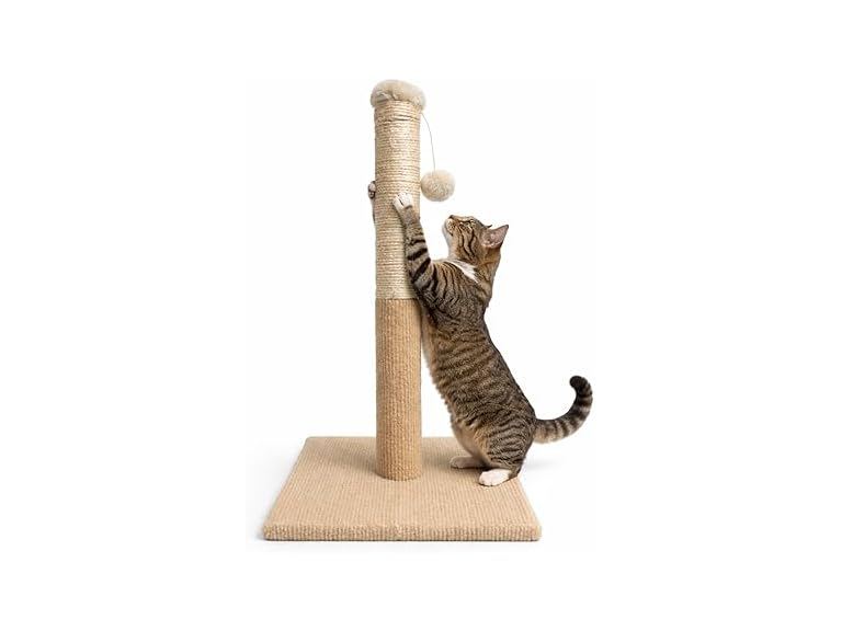 ASPCA Cat Scratching Post for Indoor Cats