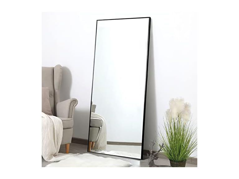 Poshions Full Length Mirror 65''x22''