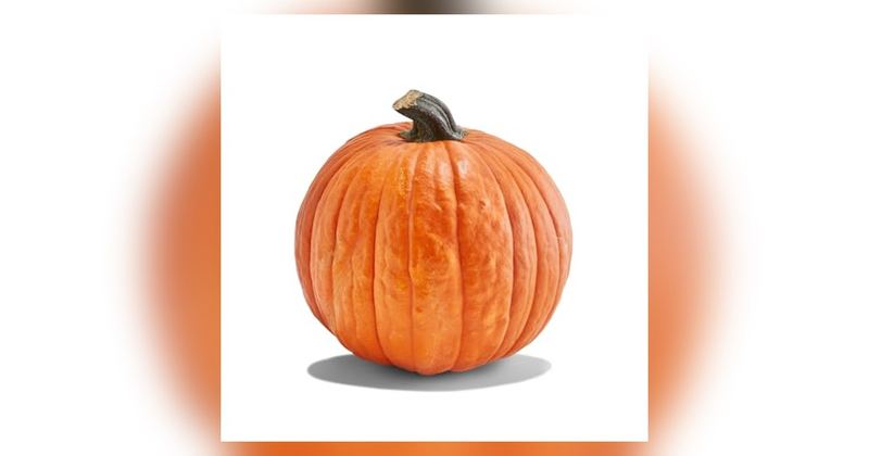 CARVING PUMPKIN ON SALE