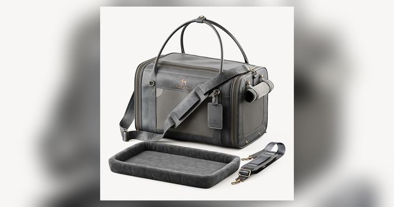TSA APPROVED PET CARRIER FOR $34