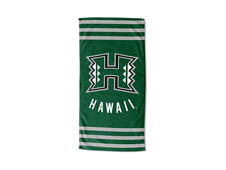 The Northwest Company Stripes Beach Towel