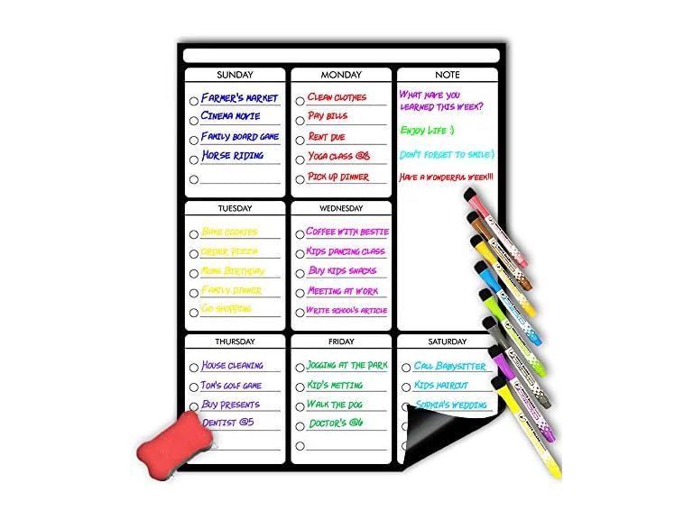 Magnetic Dry Erase 8 Magnets and Eraser