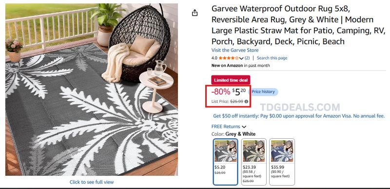 OUTDOOR RUG FOR $5.20 🚨