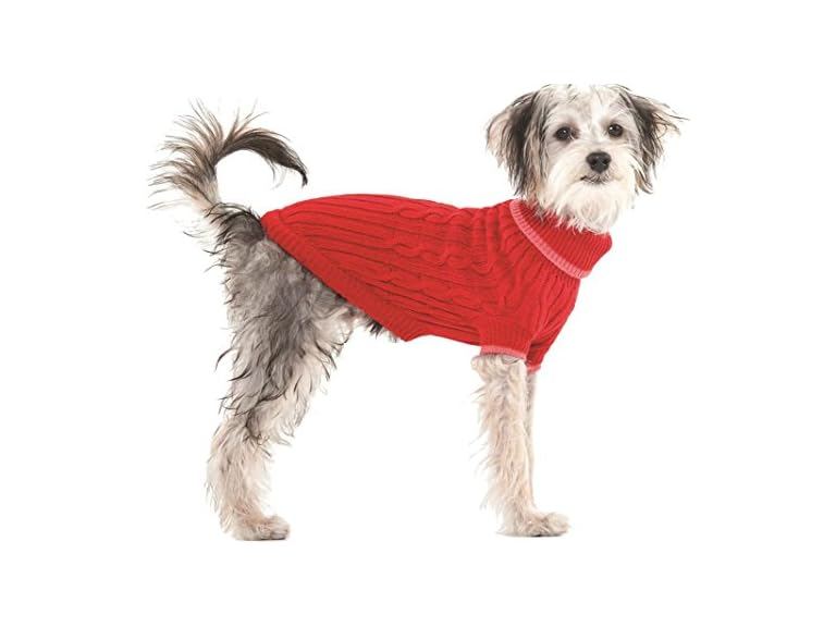 100% OFF: SPOT Fashion Pet (Ethical) Classic X-Large-Red