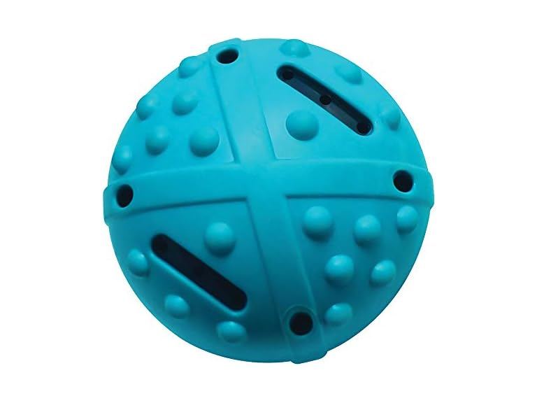Champion Companion TPR Squeaky Bouncing Ball