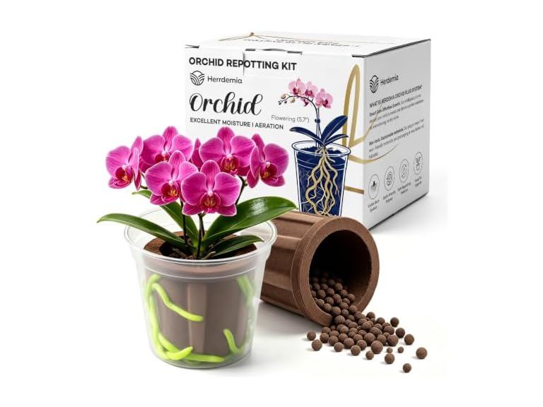 86% OFF: Herrdemia Orchid Mix Soil