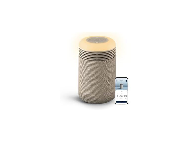 71% OFF: BLUEAIR HEPA Purifier & Sunrise Alarm Clock