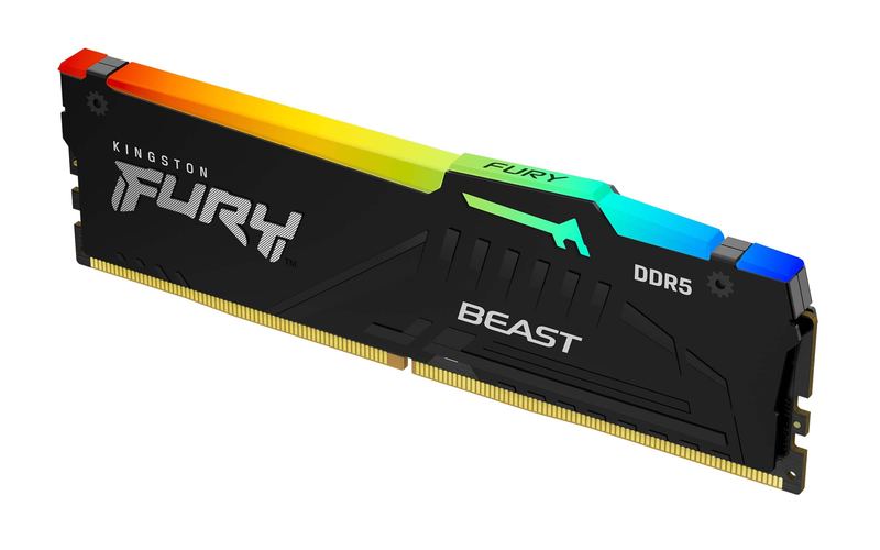 Kingston - FURY Beast 16GB RAM Module - Black
