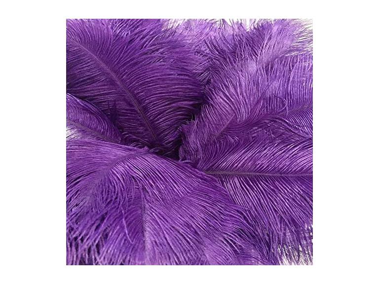 AABABUY 10pcs Ostrich Feathers Purple