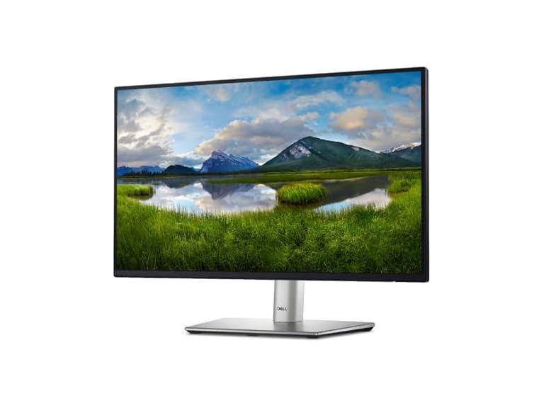 Dell 24 Monitor